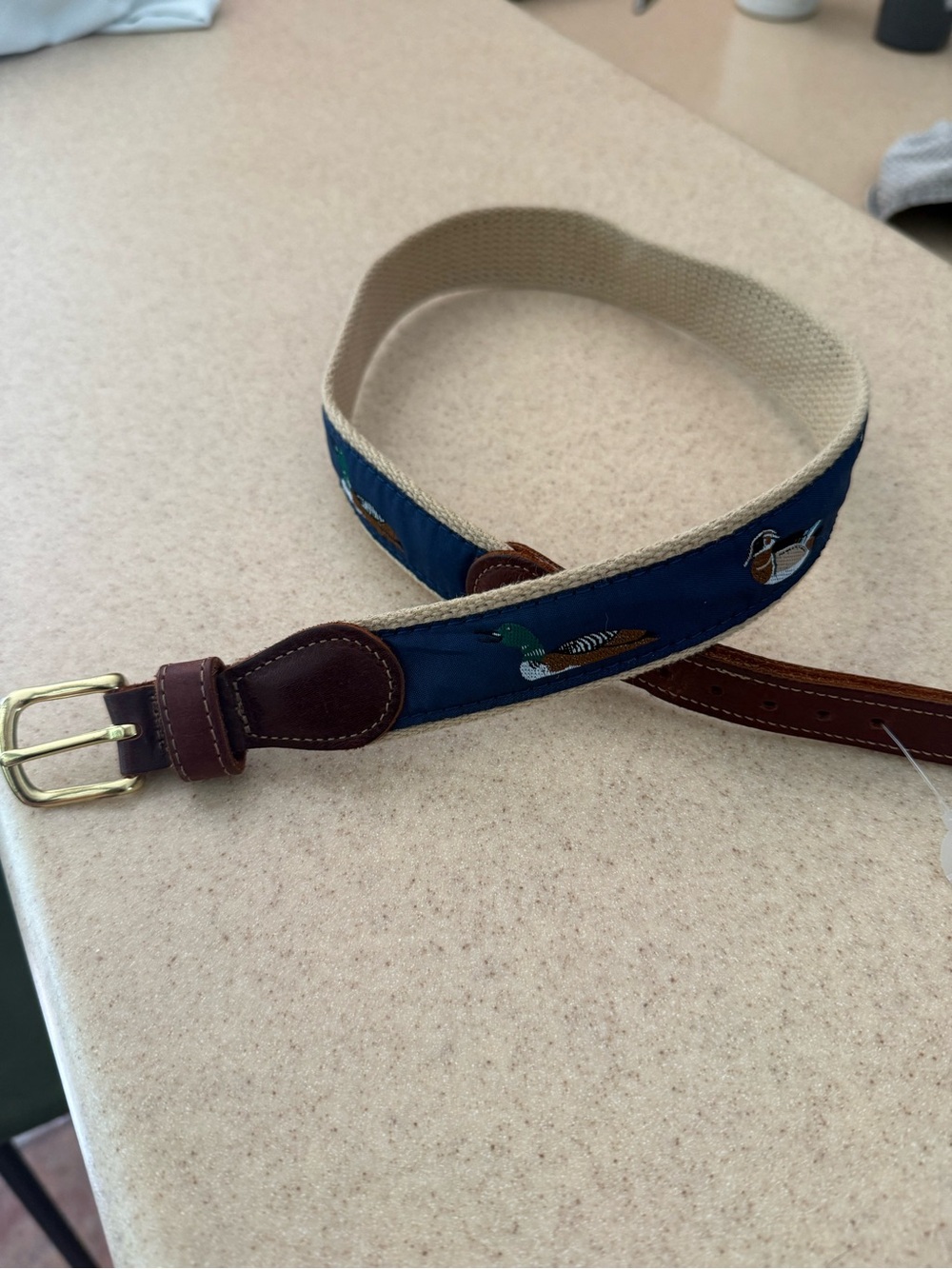Child boys Navy Duck waterfowl Embroidered Canvas Belt with Leather Trim Bailey